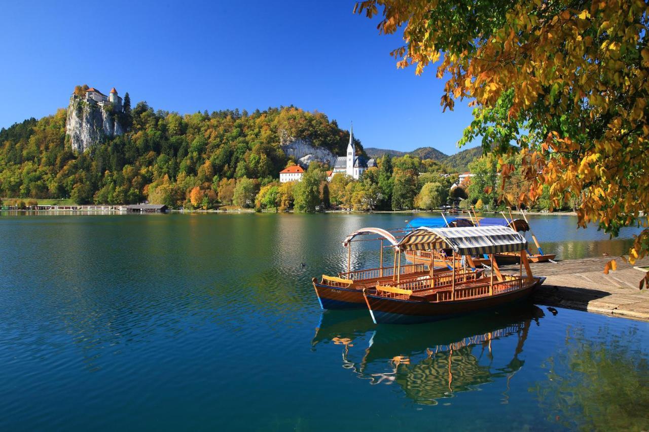 Vila Mila Bled Dış mekan fotoğraf